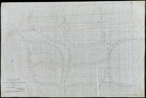 Ashland/ Lexington, KY./ Plan for Staking Roads & Trees[r]/; Scale 50'= 1" [r]