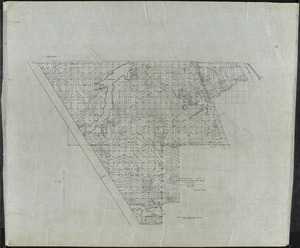 [LAKE SHORE COUNTRY CLUB] TOPOGRAPHICAL PLAN; SCALE 100'=1"