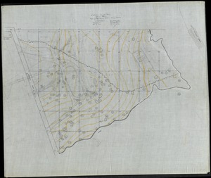 TOPO OF CLUB HOUSE SITE; SCALE 20'=1"