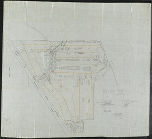 PLAN FOR WATER SYSTEM; SCALE 100'=1"; GOLF COURSE & EXISTING FOLIAGE [PI]