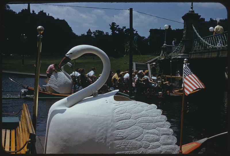 Swan boats