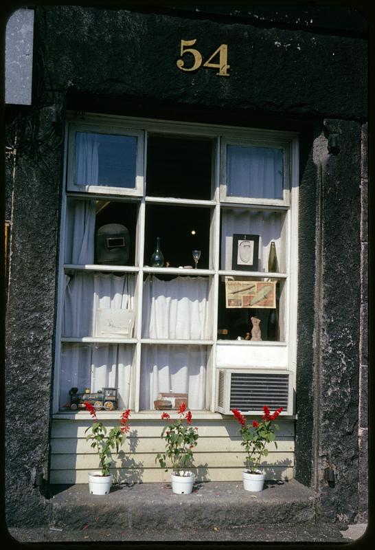 Flower pots in front of window displaying various items