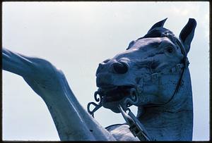 View from below of horse's head and foreleg, George Washington equestrian statue, Boston Public Garden
