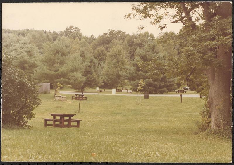 October Mountain State Campground, Woodland Rd.