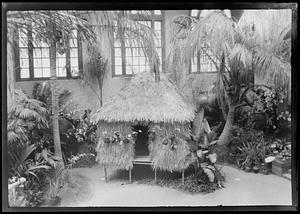 Thatched hut and palm trees