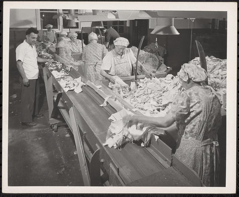 Rag Sorting Room, Government Mill, 1950