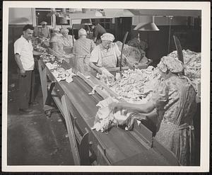 Rag Sorting Room, Government Mill, 1950