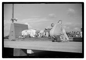 Boston Park Department circus event