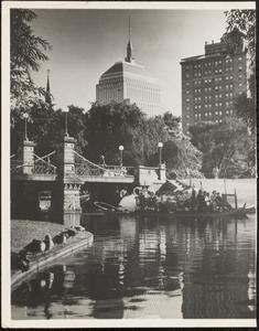 Swan boats, Public Garden