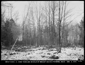 Distribution Department, Low Service Spot Pond Reservoir, northerly view through middle of swamp behind Pickerel Rock, Stoneham, Mass., Dec. 9, 1904