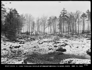 Distribution Department, Low Service Spot Pond Reservoir, northerly view through middle of swamp behind Pickerel Rock, Stoneham, Mass., Dec. 15, 1904