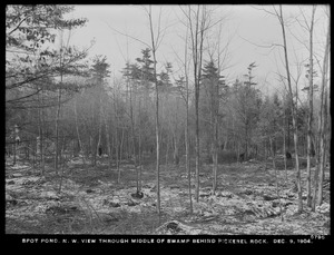 Distribution Department, Low Service Spot Pond Reservoir, northwesterly view through middle of swamp behind Pickerel Rock, Stoneham, Mass., Dec. 9, 1904