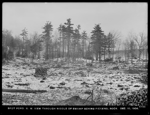 Distribution Department, Low Service Spot Pond Reservoir, northwesterly view through middle of swamp behind Pickerel Rock, Stoneham, Mass., Dec. 15, 1904