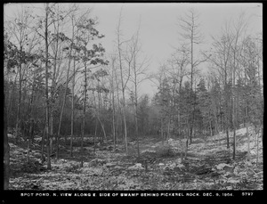 Distribution Department, Low Service Spot Pond Reservoir, northerly view along easterly side of swamp behind Pickerel Rock, Stoneham, Mass., Dec. 9, 1904