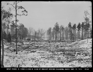 Distribution Department, Low Service Spot Pond Reservoir, northerly view along easterly side of swamp behind Pickerel Rock, Stoneham, Mass., Dec. 15, 1904