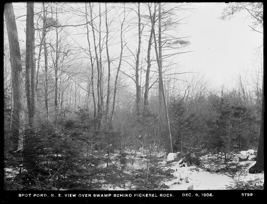 Distribution Department, Low Service Spot Pond Reservoir, northeasterly view over swamp behind Pickerel Rock, Stoneham, Mass., Dec. 9, 1904