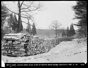 Distribution Department, Low Service Spot Pond Reservoir, along wood road east of Southern Gatehouse, looking easterly, Stoneham, Mass., Dec. 9, 1904