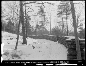 Distribution Department, Low Service Spot Pond Reservoir, wood road east of Southern Gatehouse, looking easterly, Stoneham, Mass., Dec. 9, 1904