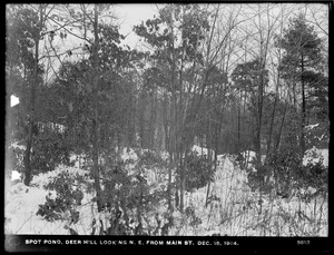 Distribution Department, Low Service Spot Pond Reservoir, Deer Hill looking northeasterly from Main Street, Stoneham, Mass., Dec. 15, 1904
