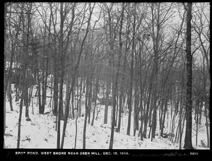 Distribution Department, Low Service Spot Pond Reservoir, westerly shore near Deer Hill, Stoneham, Mass., Dec. 15, 1904