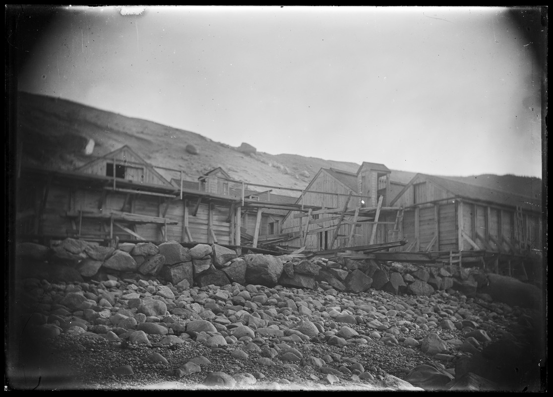 Sev. stone walls prob Chilmark Digital Commonwealth