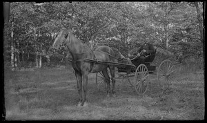 Horse & wagon & man, 7 Gates. MLW
