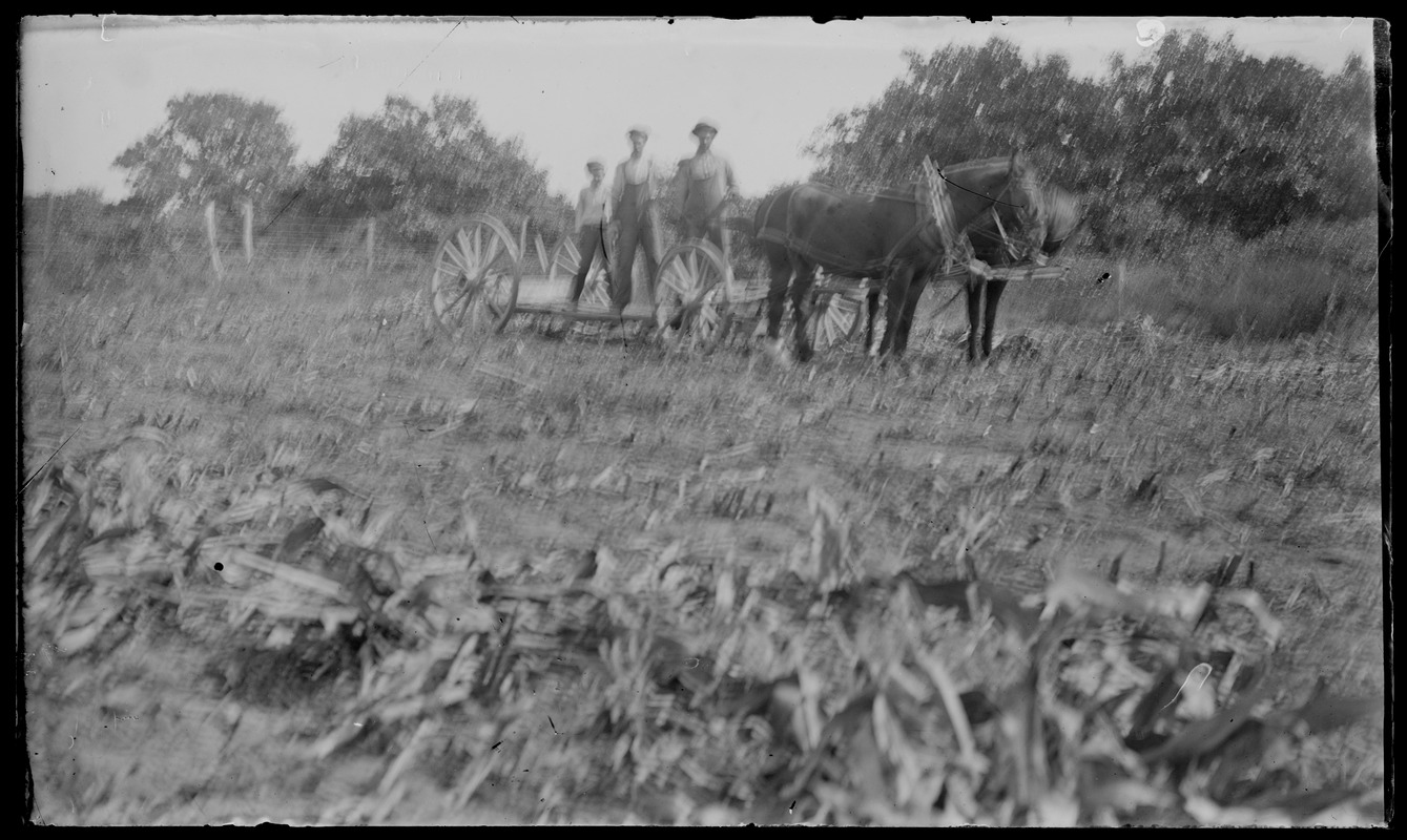 Men in field, dray wagon, corn field. 7 Gates