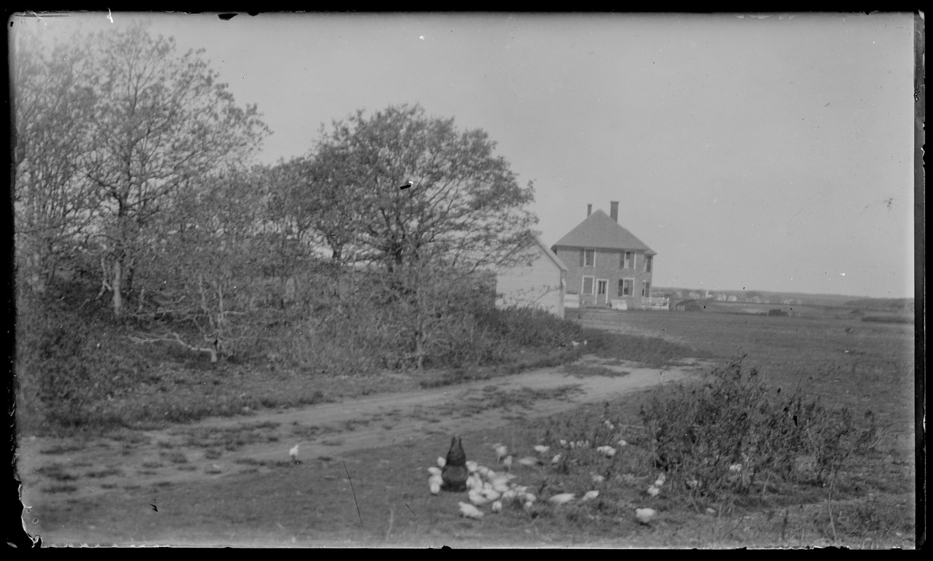 James Look's house - rear, taken from barn, south side of house on Pear Tree Cove, Tisb. Great Pond, WT