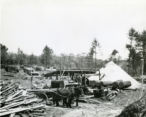 Portable lumber mill