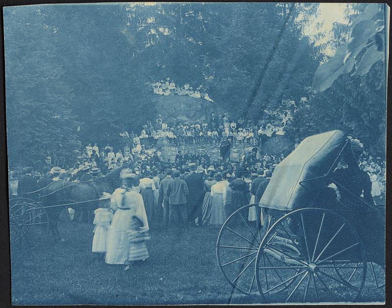 Cyanotype of Boston parks