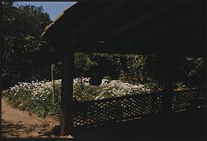 Garden, possibly San Diego