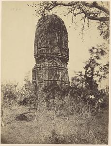 Temple ruins, Deulghata, India