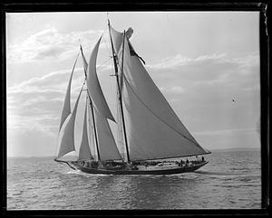 Gertrude L. Thebaud