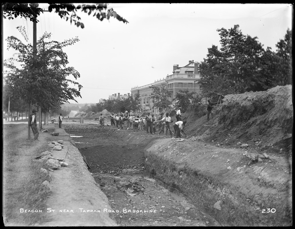 Distribution Department, Low Service Pipe Lines, backfilling on Beacon Street, near Tappan Road, from the east, Brookline, Mass., Jul. 6, 1896