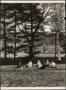 Campus: spring, picnic grove