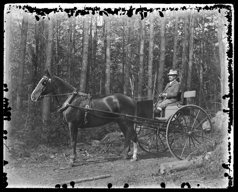 Man in one horse shay in woods - Digital Commonwealth