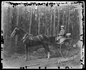 Man in one horse shay in woods