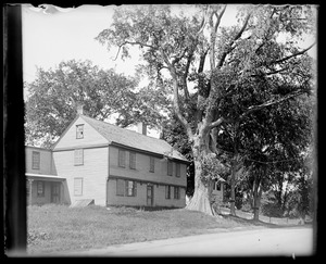 Old house with big tree
