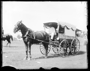 Horse and Cresswell wagon