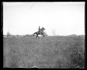 Unidentified horse and rider