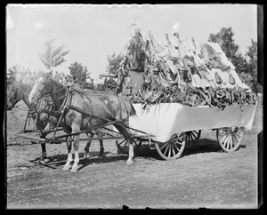 Parade wagon pulled by horses