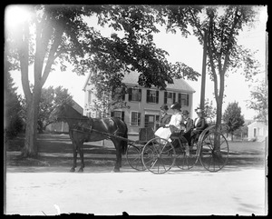 Four people in Carriage on Main St.
