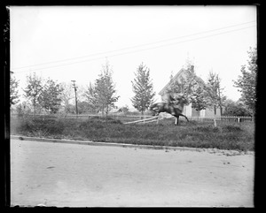 Unidentified man on horseback in motion