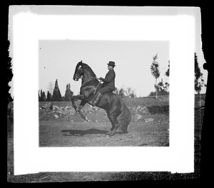 Man on horseback-horse rearing