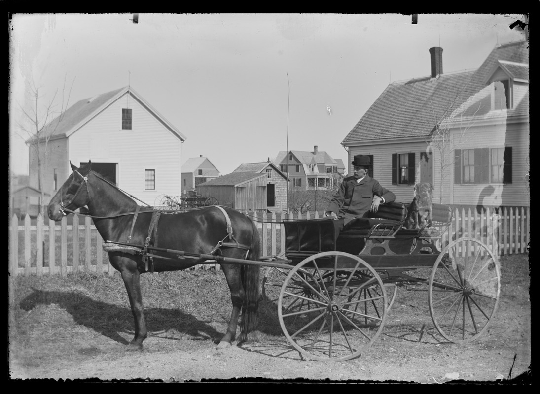 Unidentified man and dog in horse-drawn carriage, Hingham Centre