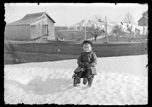 Young child on sled in snow