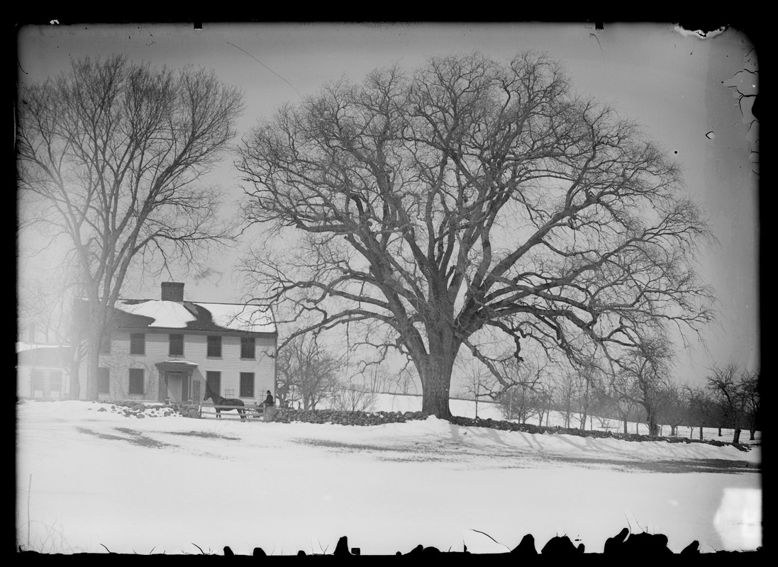 Unidentified property or Cushing House, East Street and old Elm