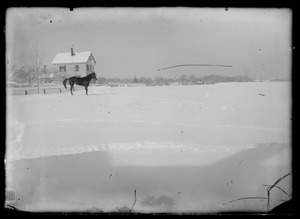 Unidentified property with horse