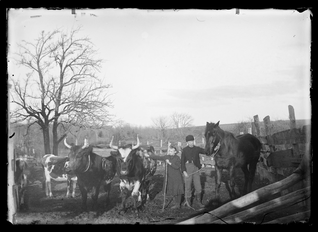 Children posing with livestock and horse