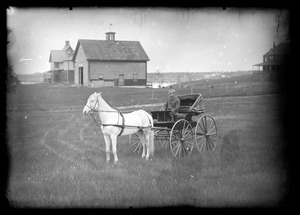 Man sitting in horse and buggy in field